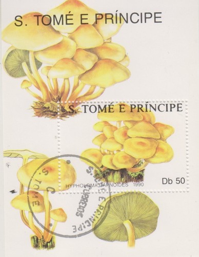 Funghi tome principe - funghi, s.tome