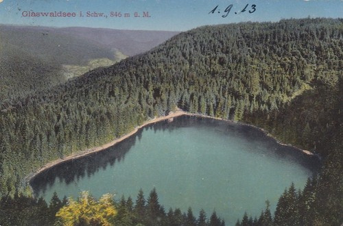 Lago della foresta - foresta, vetro