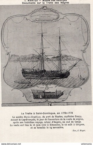 7385 cpa nantes musée - cpa,